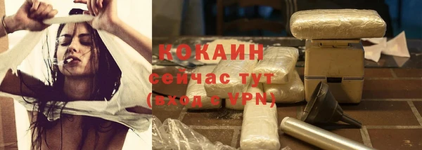 индика Аркадак