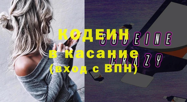 индика Аркадак