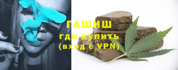 индика Аркадак