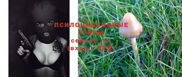 индика Аркадак
